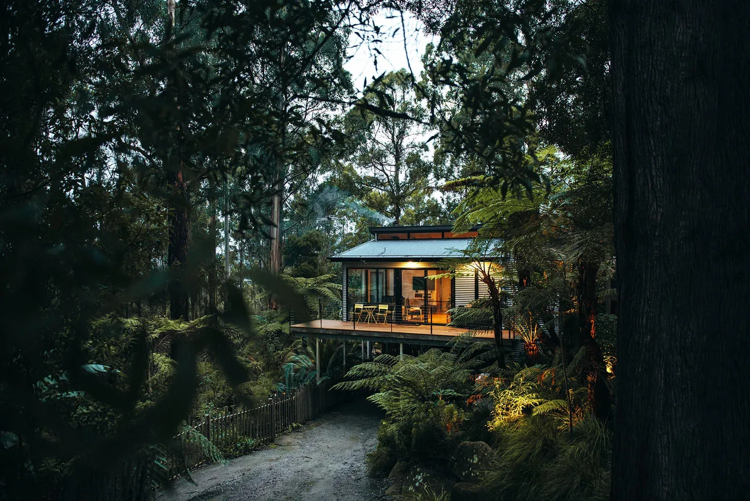 Billabong Falls illuminated within its Olinda forest setting.