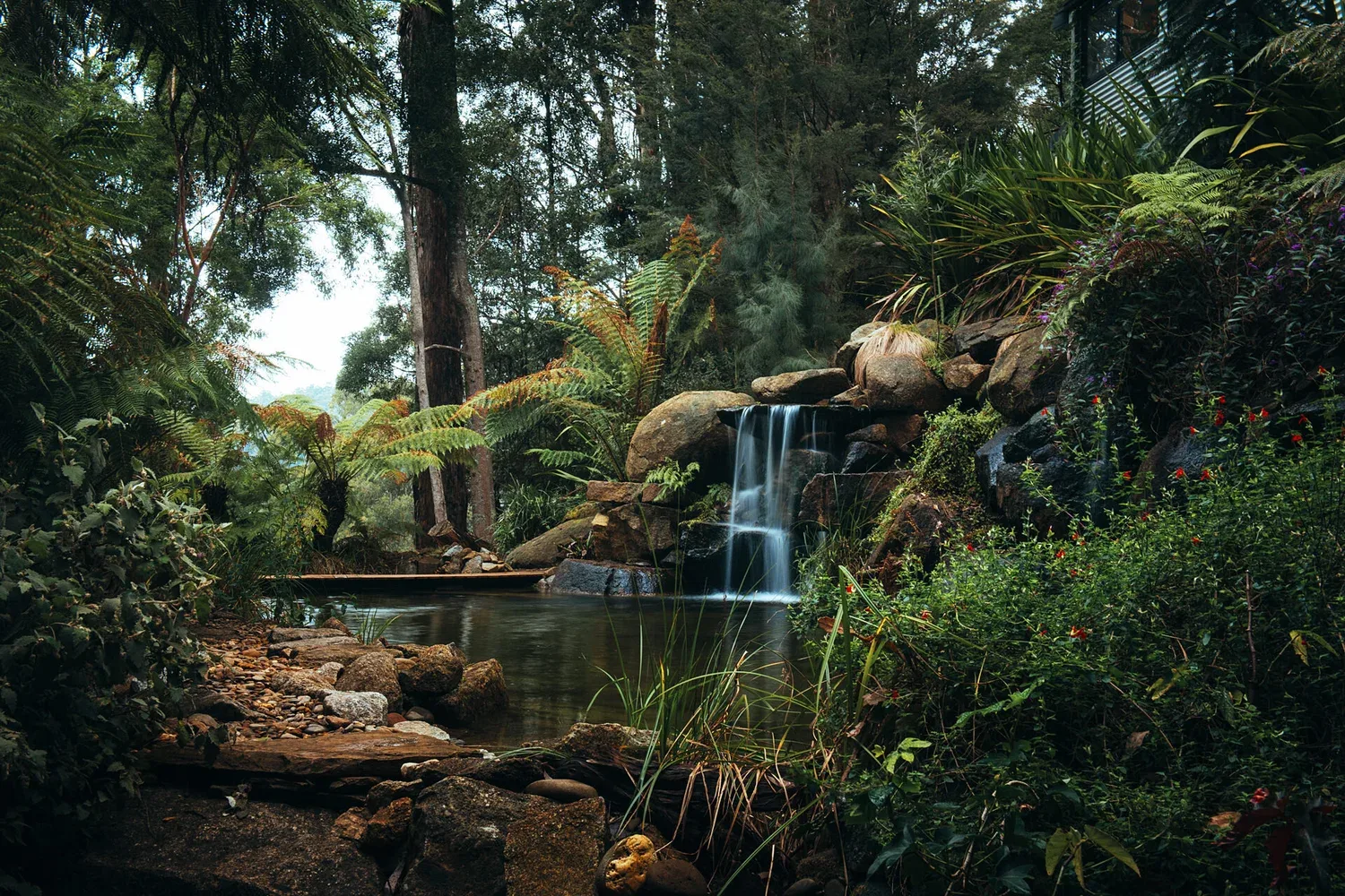 Water and rocks among dense garden planting.