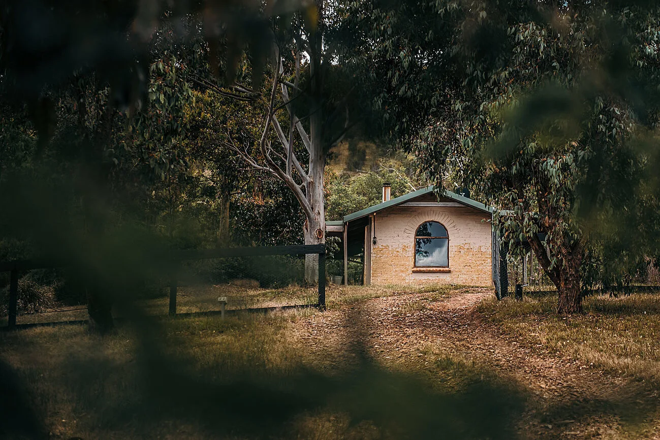 Tathra Cottage among trees in Flowerdale.